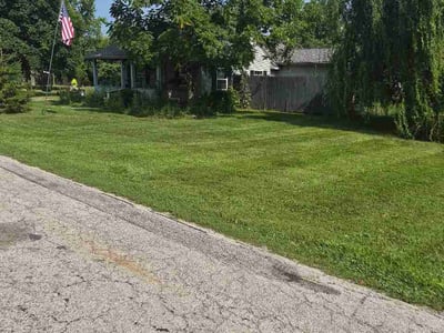 Lawn Care service in Holland, 43528