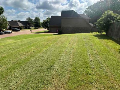 Lawn Care service in Bakersfield, 93301