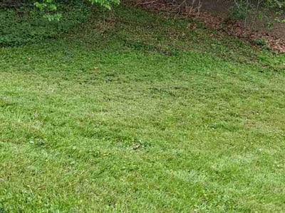 Lawn Care service in Bakersfield, 93301