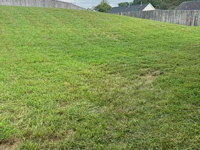 Lawn Care service in Mebane, 27302