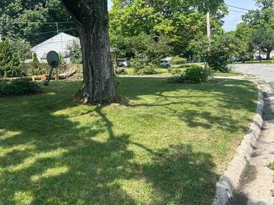 Lawn Care service in Enola, 17025