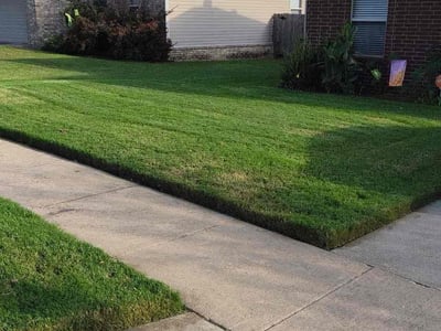Lawn Care service in Little Rock, 72201