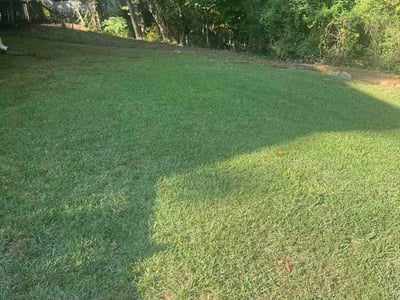 Lawn Care service in Cartersville, 30120