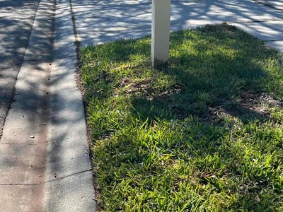Lawn Care service in Beverly Hills, 90210
