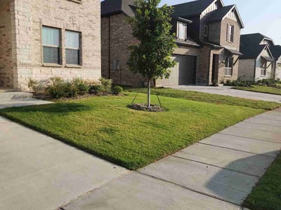 Lawn Care service in Sherman, 75090
