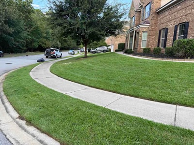 Lawn Care service in Beverly Hills, 90210