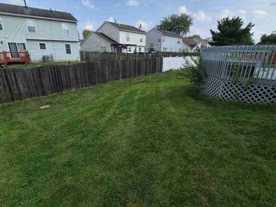 Lawn Care service in Valencia, 16059