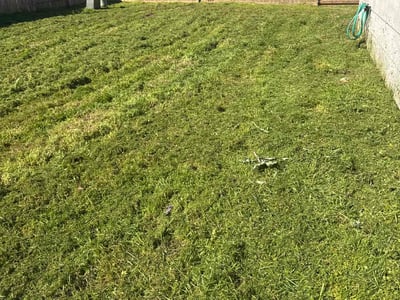 Lawn Care service in Sherman, 75090