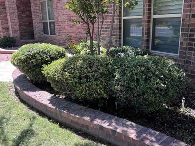 Lawn Care service in Midland, 79701