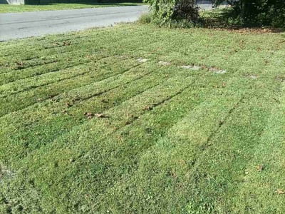 Lawn Care service in Camillus, 13031