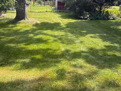 Lawn Care service in Chippewa Falls, 54729
