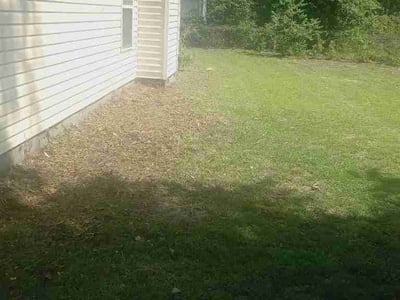 Lawn Care service in Saint Simons Island, 31522