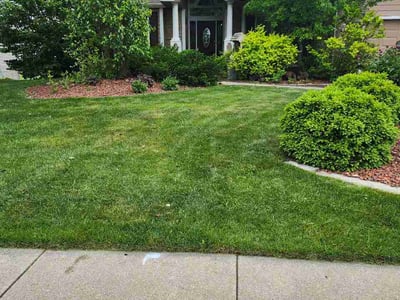 Lawn Care service in Cedar Falls, 50613