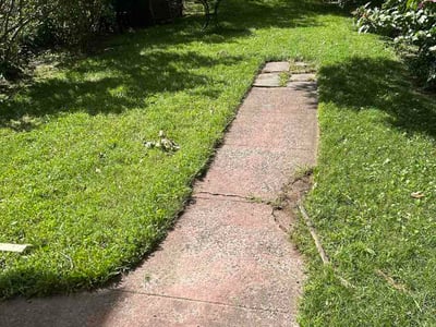 Lawn Care service in Southbury, 06488