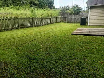 Lawn Care service in Acworth, 30101