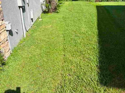 Lawn Care service in Oviedo, 32765