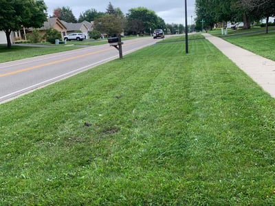 Lawn Care service in Lakeville, 55044