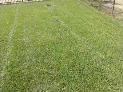 Lawn Care service in Chatsworth, 30705