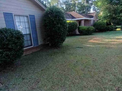Lawn Care service in Opelika, 36801