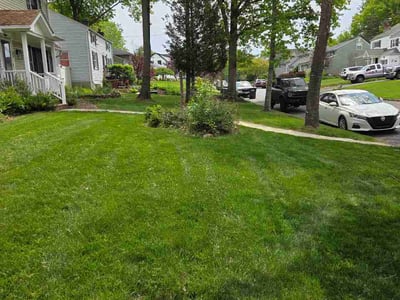 Lawn Care service in Westfield, 07090