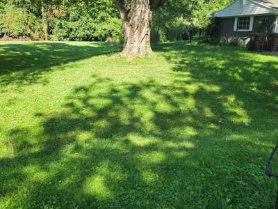 Lawn Care service in Piqua, 45356