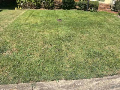 Lawn Care service in Brookhaven, 30319