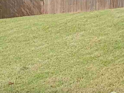 Lawn Care service in Brookhaven, 30319