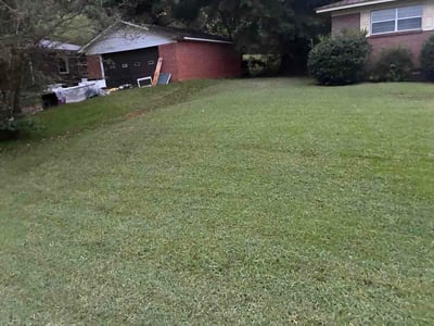 Lawn Care service in Anniston, 36201