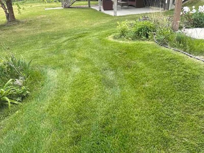 Lawn Care service in Iowa City, 52240