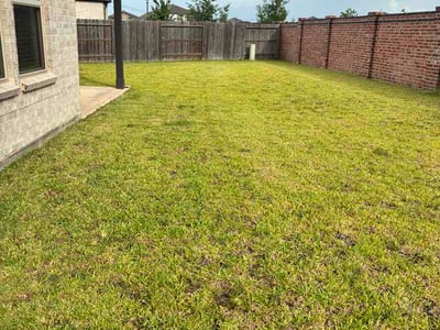Lawn Care service in Kingwood, 77339