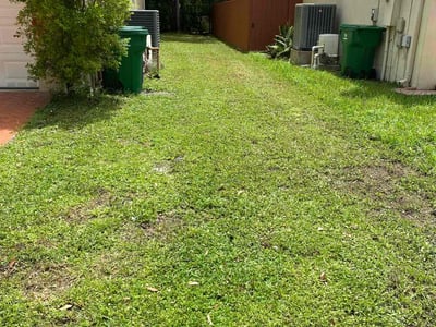 Lawn Care service in Londonderry, 03053