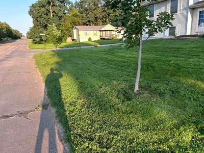 Lawn Care service in Brainerd, 56401