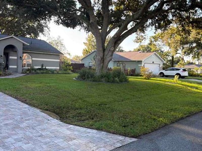 Lawn Care service in Inland Empire, 92262