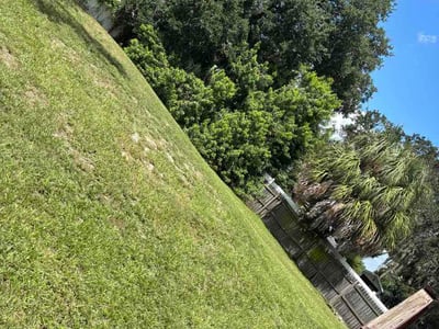 Lawn Care service in Ruskin, 33570