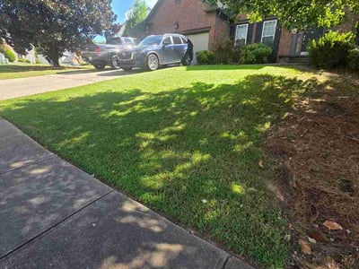 Lawn Care service in Suwanee, 30024