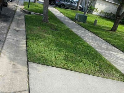 Lawn Care service in Ruskin, 33570