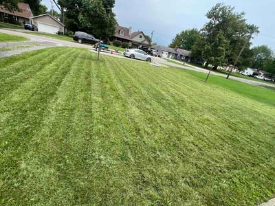 Lawn Care service in Marysville, 43040