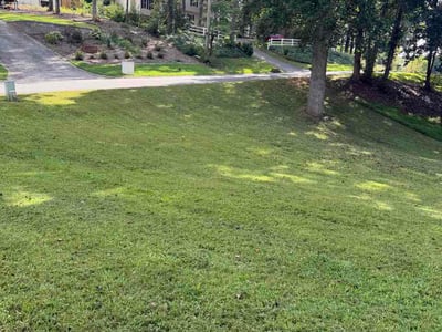 Lawn Care service in Granada Hills, 91344