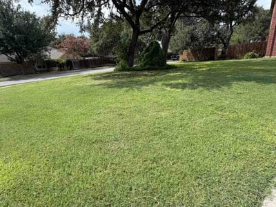 Lawn Care service in Schertz, 78154