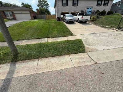 Lawn Care service in Beckley, 25813