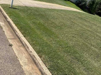 Lawn Care service in Rex, 30273