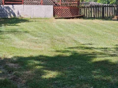 Lawn Care service in Sheridan, 72150