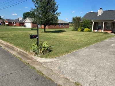 Lawn Care service in Toney, 35773