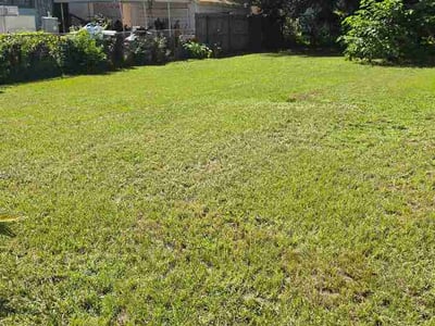 Lawn Care service in Royal Palm Beach, 33411