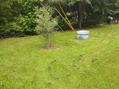 Lawn Care service in Griffin, 30224