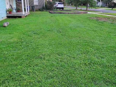 Lawn Care service in Griffin, 30224