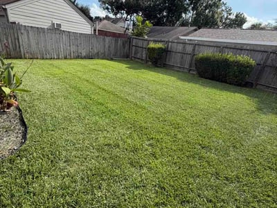 Lawn Care service in Angleton, 77515