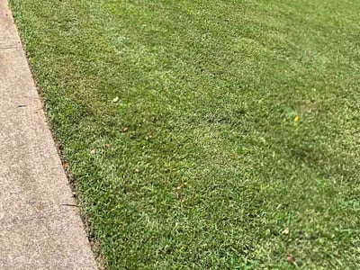 Lawn Care service in Kennesaw, 30144