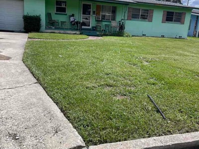 Lawn Care service in Pine Hills, 32808