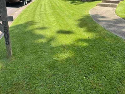 Lawn Care service in Roswell, 30075
